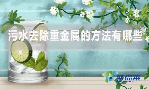 污水去除重金屬的方法有哪些？