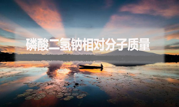 磷酸二氫鈉相對分子質(zhì)量是什么？應(yīng)該怎么算？