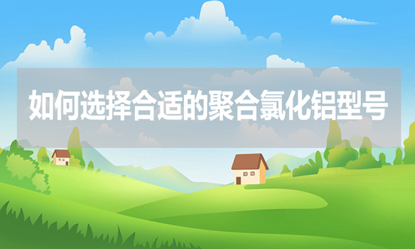 如何選擇合適的聚合氯化鋁型號？
