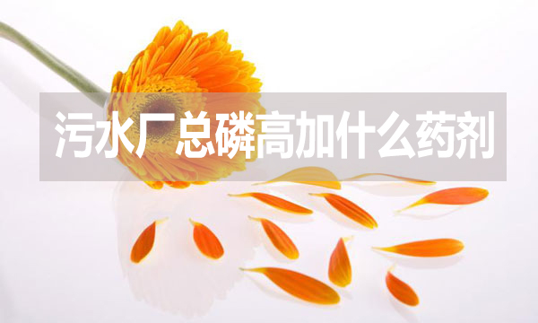 污水廠總磷高加什么藥劑？