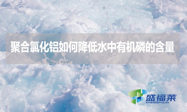 聚合氯化鋁如何降低水中有機磷的含量？
